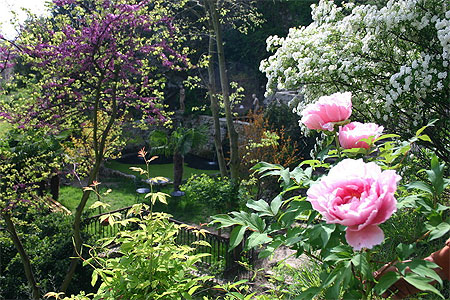 Un hâvre de paix du jardin d'Eden Un hâvre de paix du jardin d'Eden