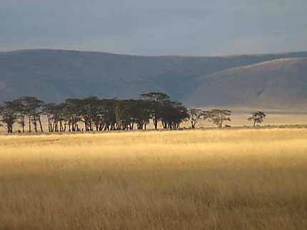 cratère du ngorongoro