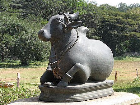 Le taureau Le taureau