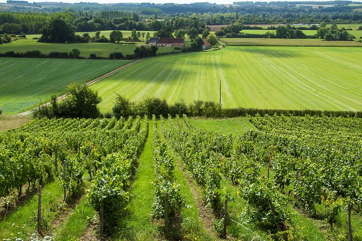 Pays de la Loire - Une route des vins dans la vallée du Loir