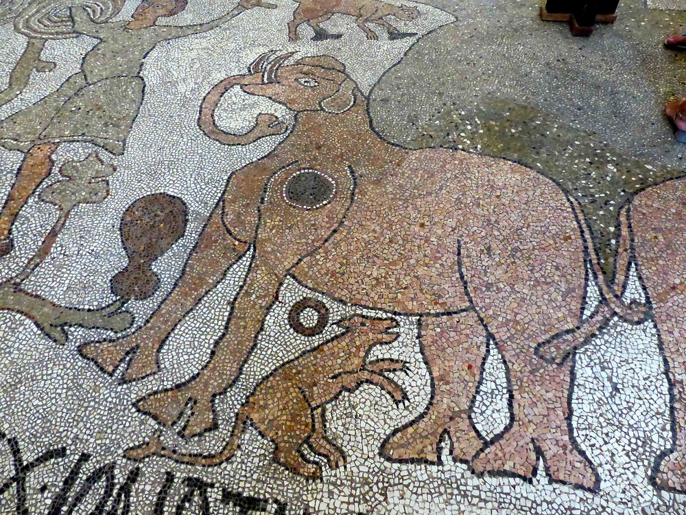 Cathédrale d'Otrante - Mosaïques du XIIème