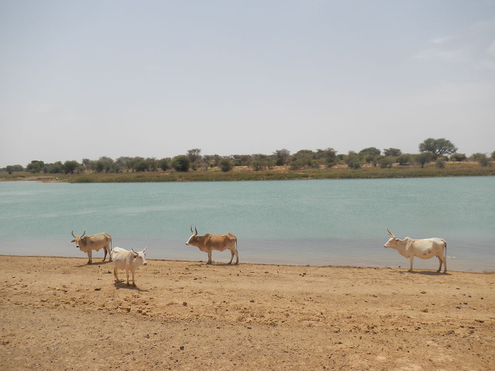 Les bords du Doué en saison sèche