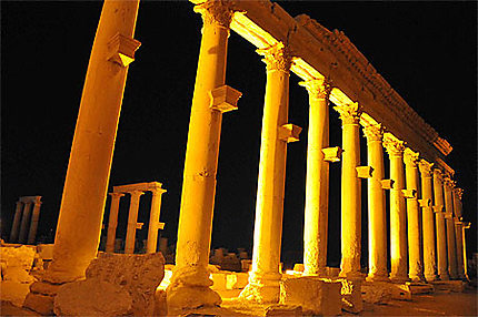 Palmyre la nuit