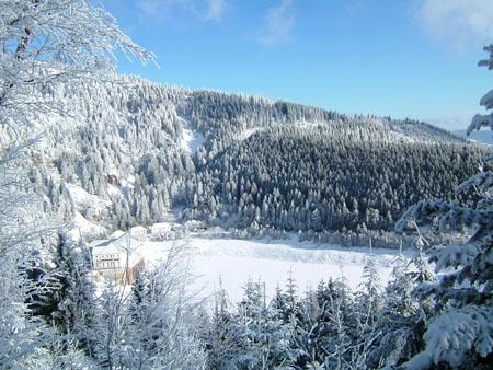 Lac Noir à Orbey : Lacs : Montagne vosgienne : Haut-Rhin : Alsace ...