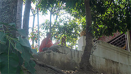 Prière du moine à Luang Prabang