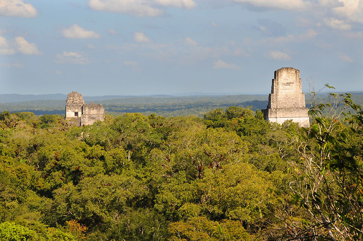 Tikal, impératrice de la forêt tropicale