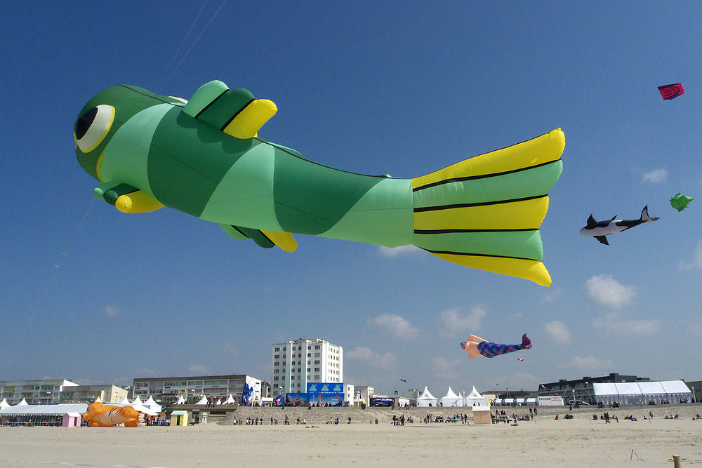 Rencontres de Cerfs-Volants, Berck-sur-Mer