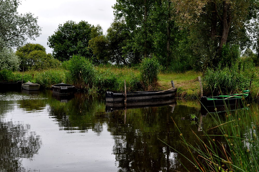 Etang de la Brière