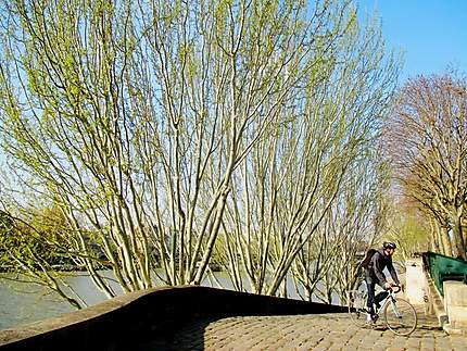 Berges de la Seine 