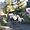 Saut de moutons le long de la Wicklow Way
