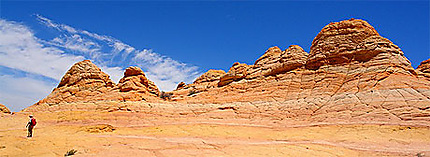 Coyote buttes South: Cottonwood