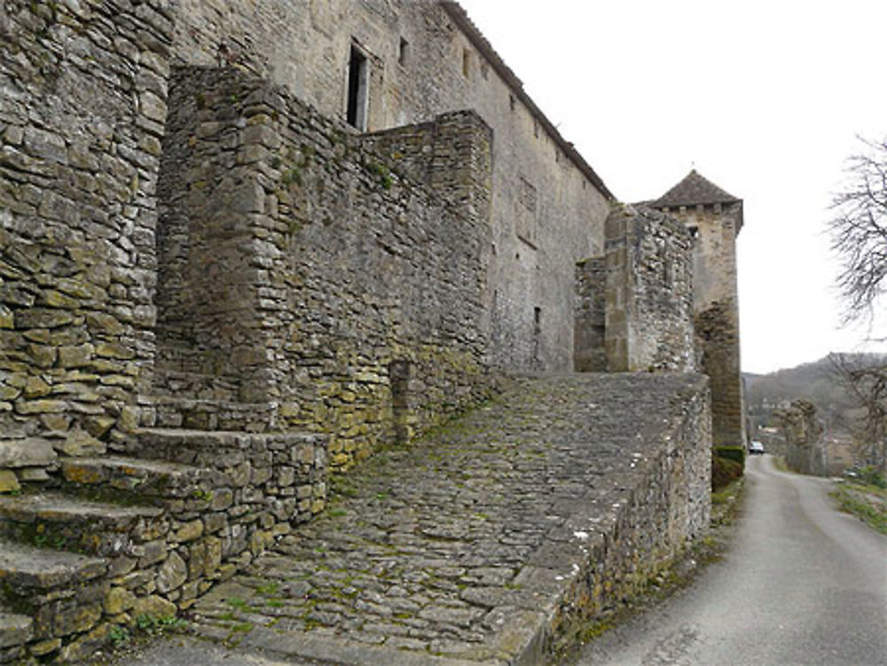 Les remparts de Camon