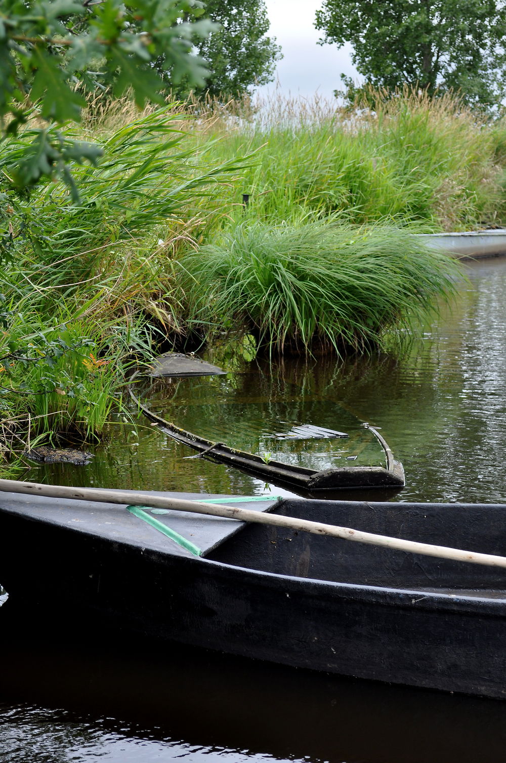 Les barques dans le marais