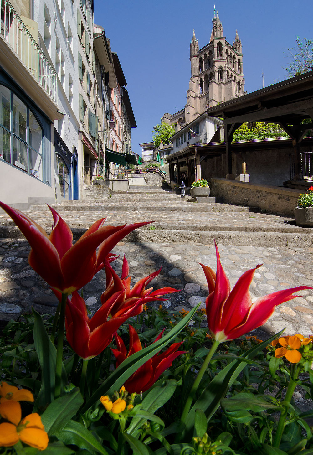 Les escaliers du marché