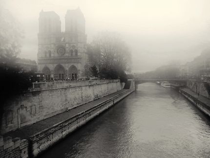 Brouillard sur Notre-Dame de Paris