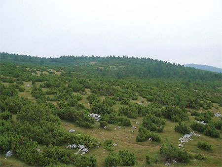 Haut-plateau du Durmitor Haut-plateau du Durmitor