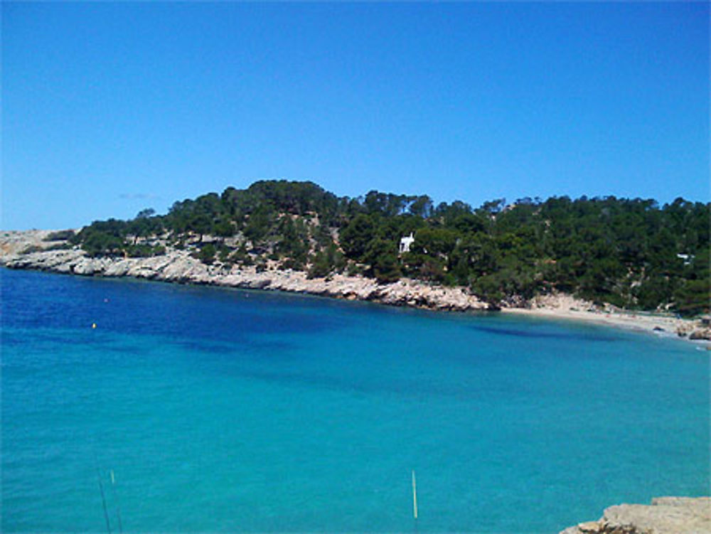 Cala conta ( Ibiza )