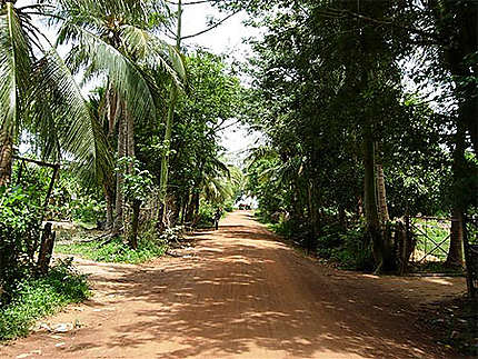 Route de campagne aux alentours de Siem reap