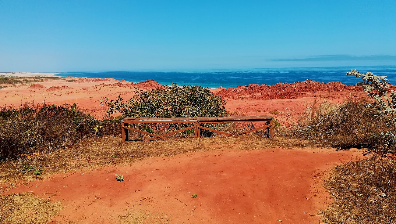 Un banc qui invite à la méditation Un banc qui invite à la méditation