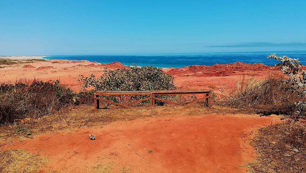 Un banc qui invite à la méditation