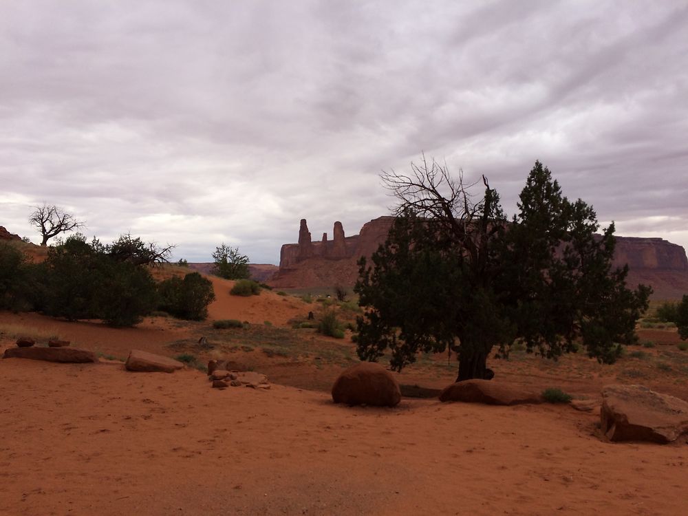 Park Tribal Navajo