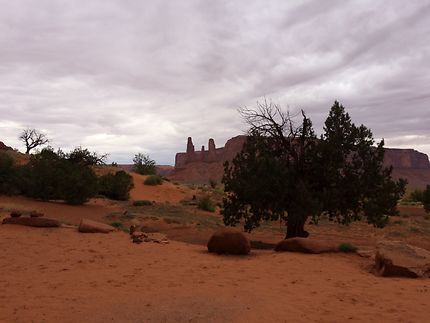 Park Tribal Navajo