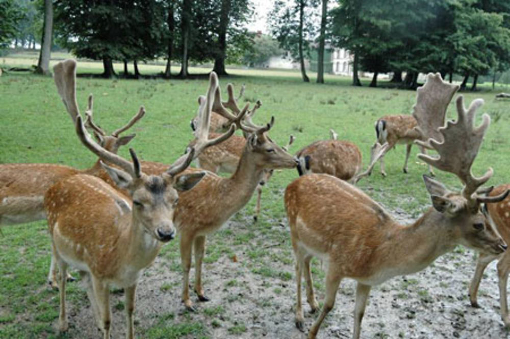 Parc du Château de Rozoy Bellevalle