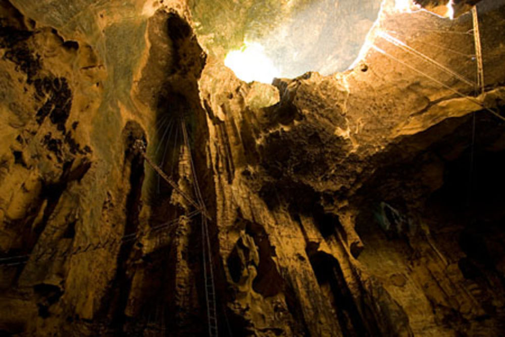 Gomantong Cave