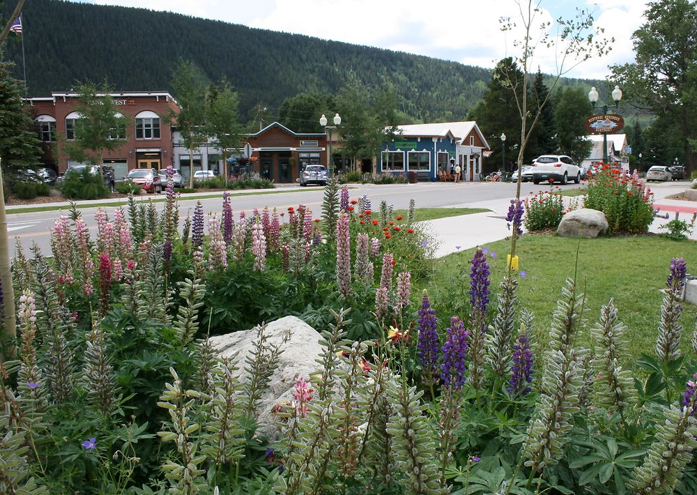 Crested Butte 