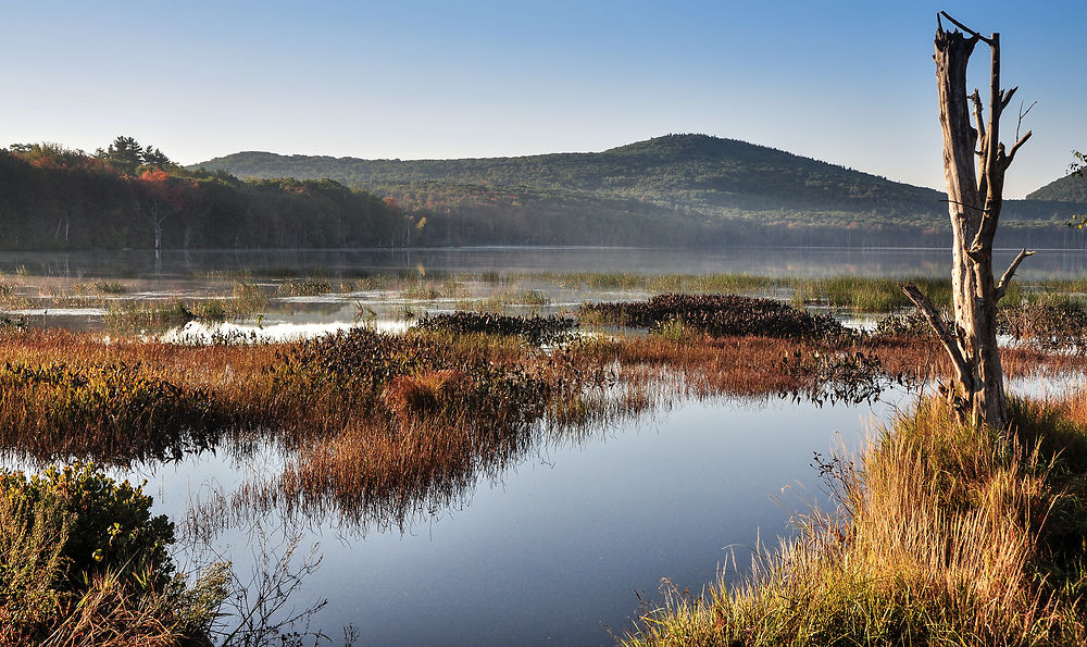 Automne dans le Maine