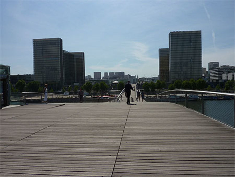 Passerelle Grande Bibliothèque F Mitterand