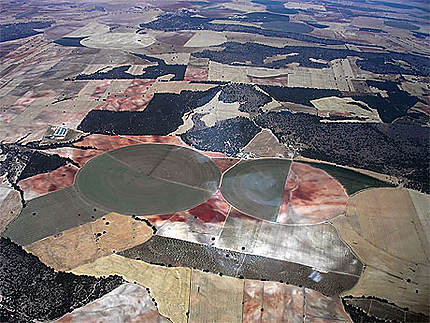 Cultures circulaires au sud d'Albacete