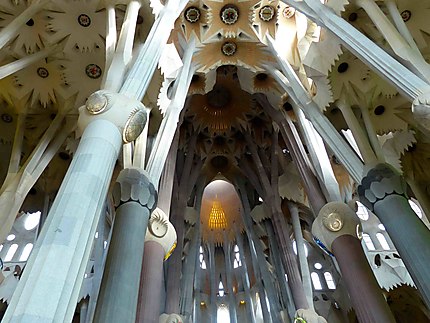 Sagrada Familia - Colonnes