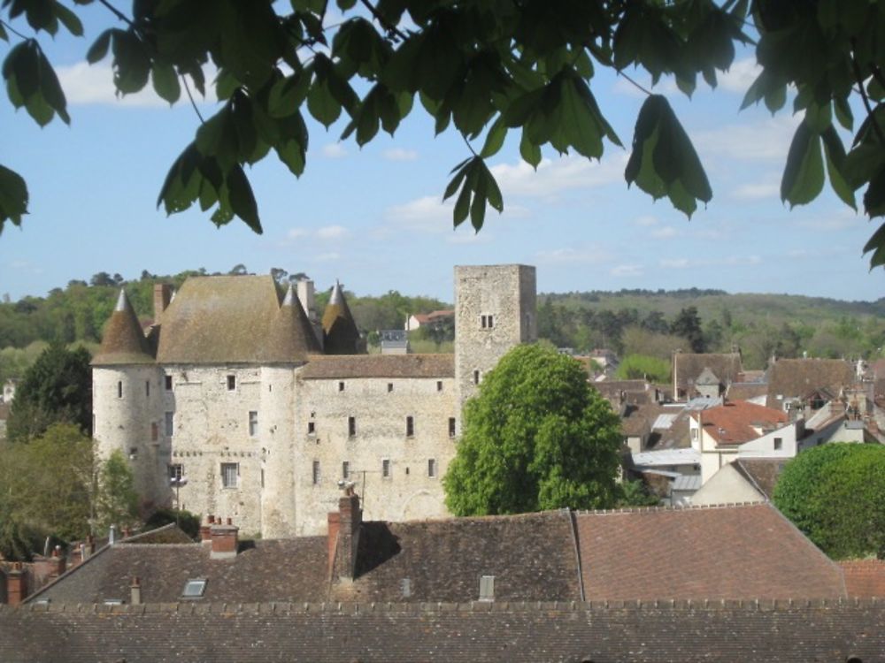 Le château de Nemours