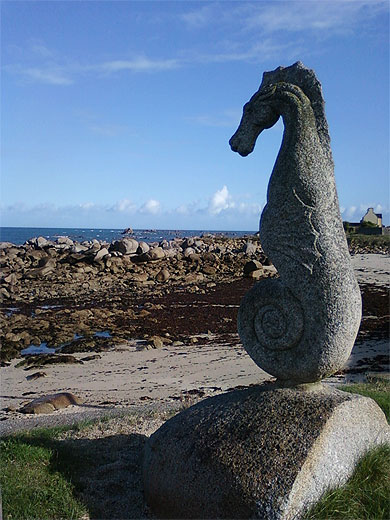 L'Hippocampe de Plouescat L'Hippocampe de Plouescat