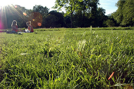 Hyde Park Hyde Park