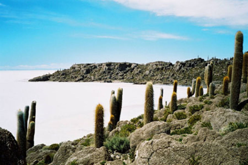 Ile des pêcheurs