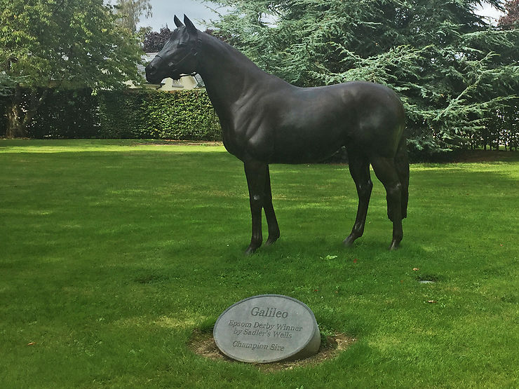 Tipperary, au pays des chevaux irlandais