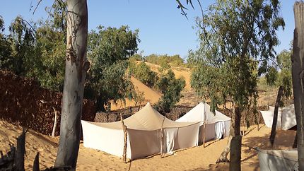 Le campement dans le désert