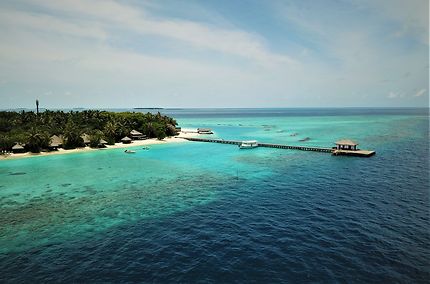 Le House Reef de Kihaa Maldives sur l'Atoll de Baa