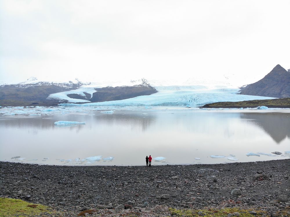 Fjallsarlon 