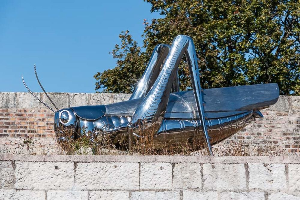 Besançon, La Citadelle, Le criquet