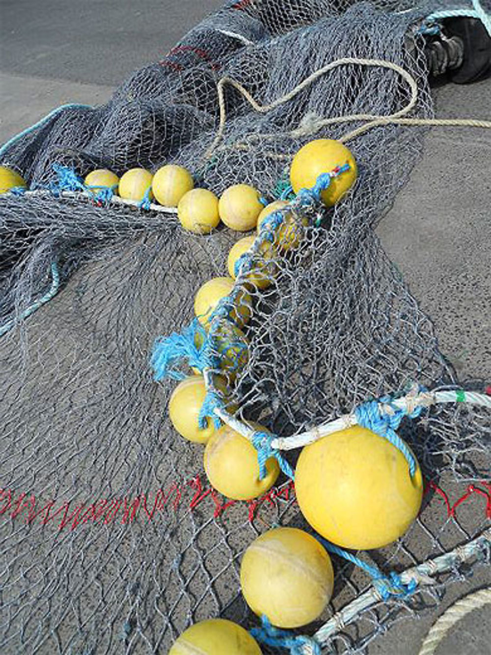 Filet de pêche sèchant sur les docks