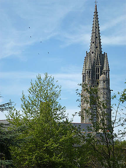 La basilique Notre-Dame-du-Roncier
