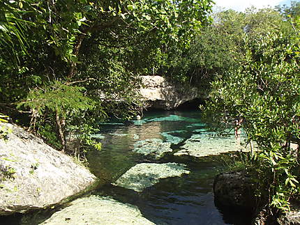 Un coin de paradis : Cenote Azul