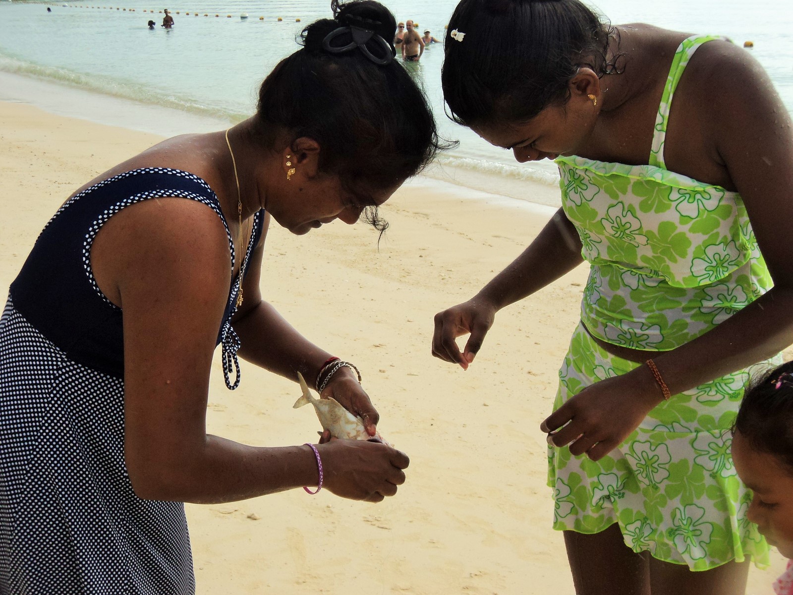 Pèche au fil Pèche au fil
