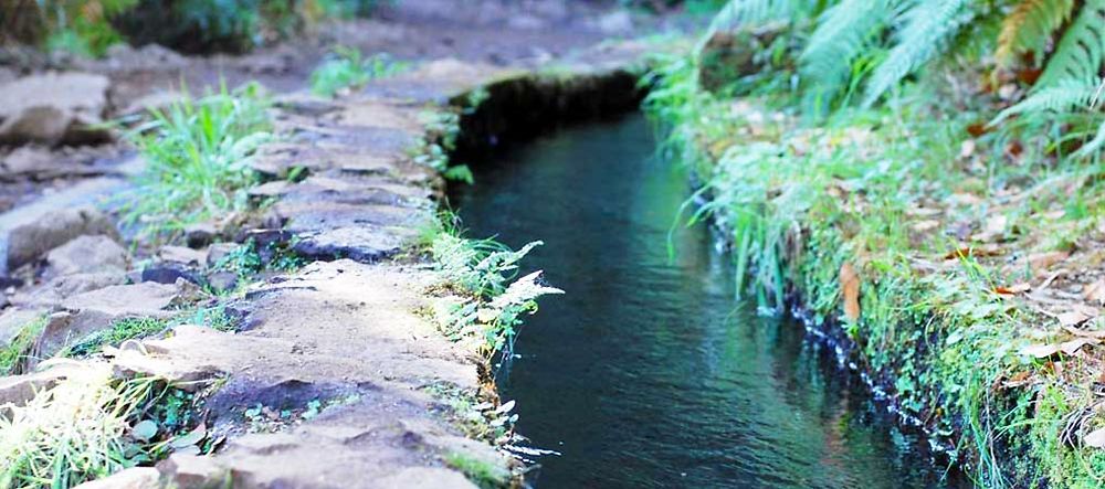 Levada das 25 Fontes