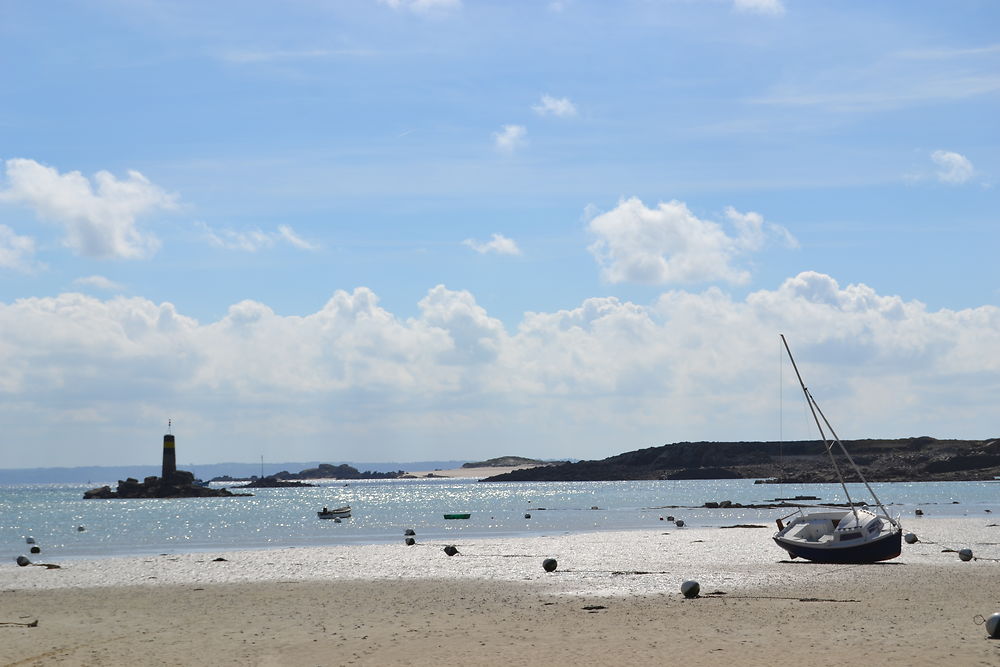 Marée basse à l’île Grande, Côtes-d'Armor