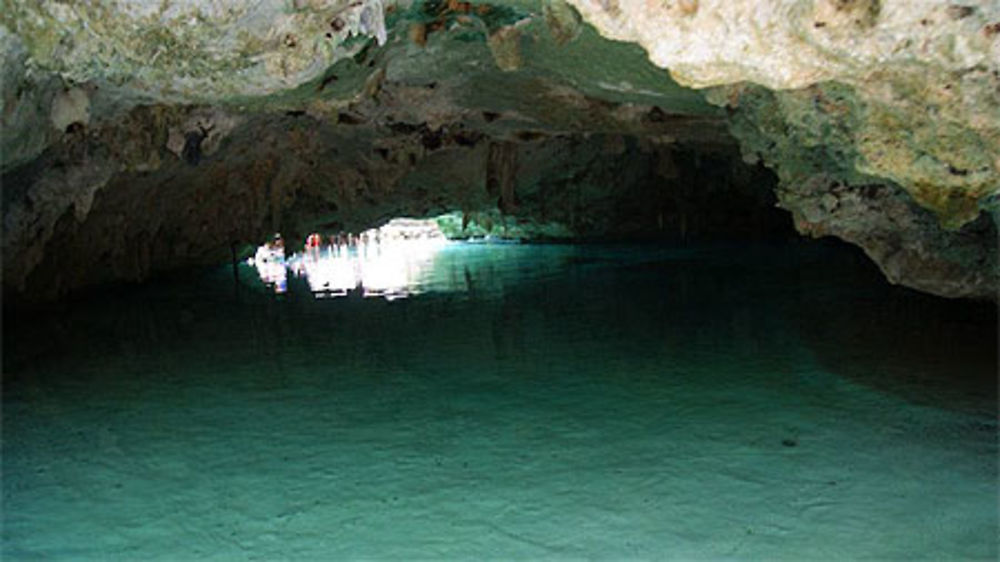 A l'intérieur de la cenote