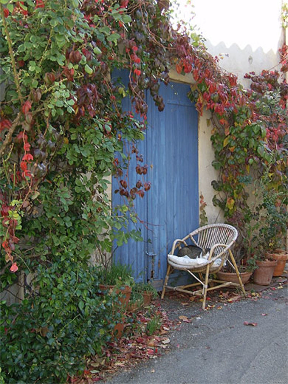 Petit chatton dans le village de Ansouis